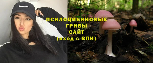 тгк Горняк