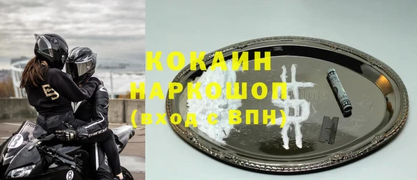 тгк Гусев