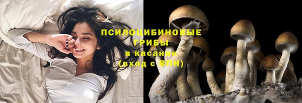 дмт Горно-Алтайск