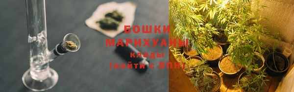 ALPHA-PVP Горнозаводск