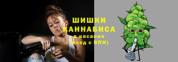 дмт Горно-Алтайск