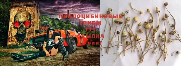 ALPHA-PVP Горнозаводск
