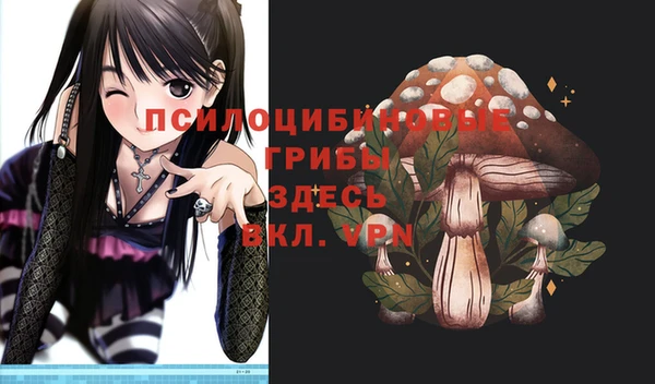 дмт Горно-Алтайск