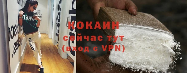 тгк Гусев
