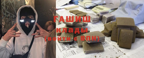 тгк Гусев