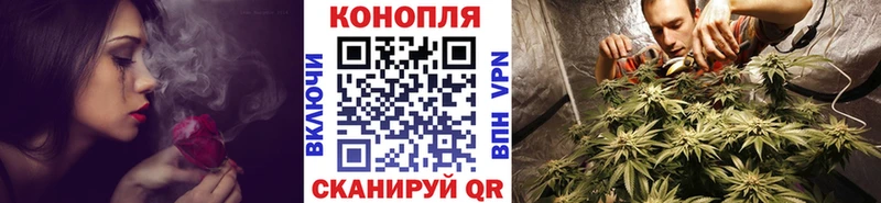 Купить где  Зуевка  Бошки Шишки MAZAR 
